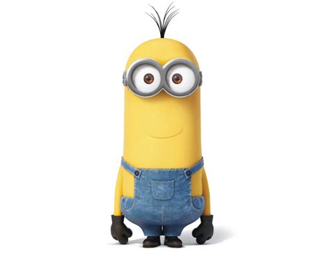 How to use minion in a sentence. The Minion Names and Who's Who List - Freshmorningquotes