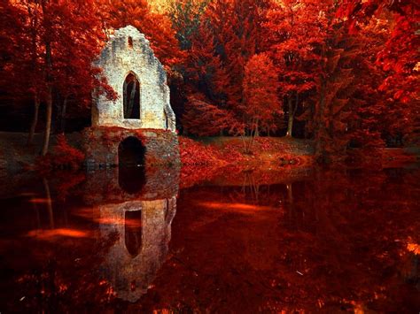 Online Crop Gray Ruin Building Beside Body Of Water And Red Trees