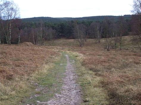 Cannock Chase © Geoff Pick Geograph Britain And Ireland