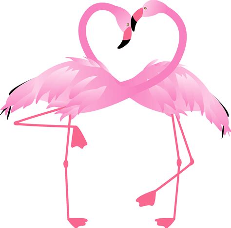 Love Flamingo Bird Vektör şeffaf Png Png Mart