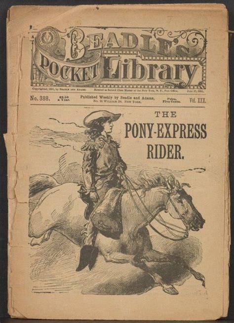 Pony Express Pony Express Pony Cowgirl Art