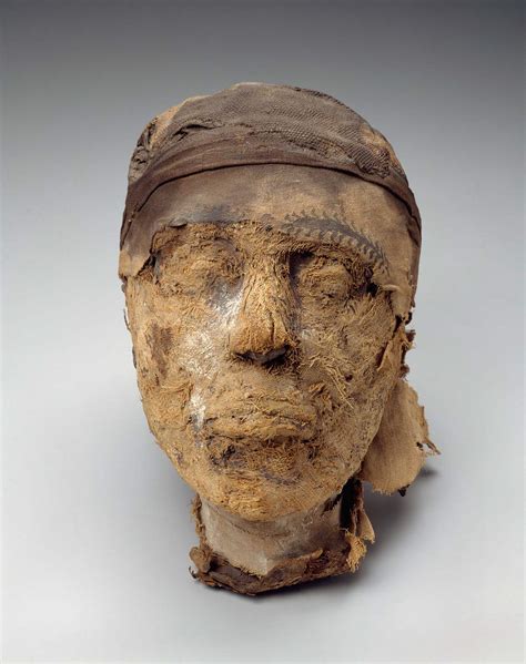 Head Of The Mummy Of Djehutynakht Museum Of Fine Arts Boston