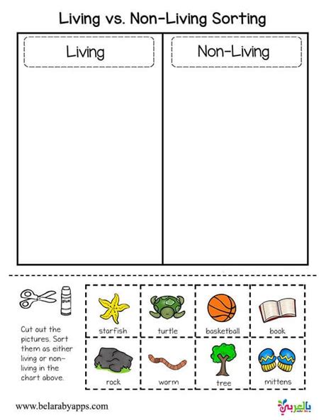 Living And Nonliving Kindergarten Worksheet