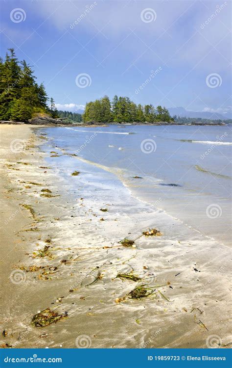 Coast Of Pacific Ocean Vancouver Island Canada Stock Image Image Of