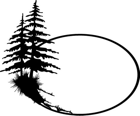 Tree Black And White Clipart Pine And Other Clipart Images On Cliparts Pub™