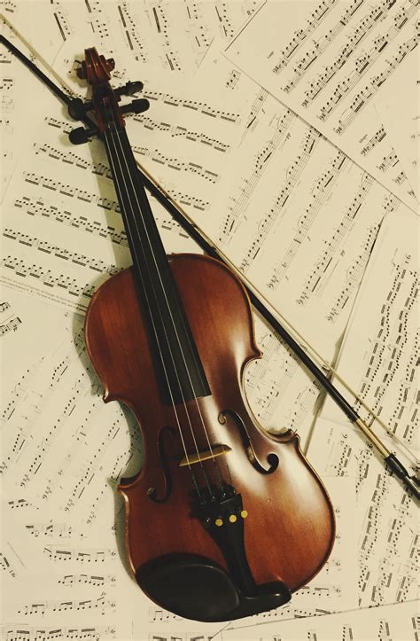 Violin Violin Violin Lessons 3dprinting Design