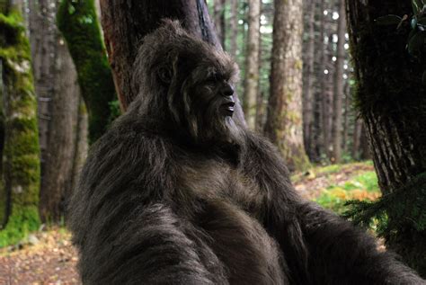 Eerie Sounds Lead To Sasquatch Hunt On Remote Bc Island 604 Now