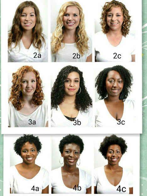 18 Curly Girl Hair Care Hacks Hair Type Chart Natural Hair Styles