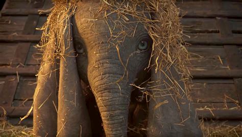 ‘dumbo’ Trailer First Look At Tim Burton’s Live Action Remake Hot World Report