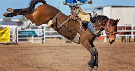Rodeo Womens Professional Rodeo Association Wpra Cowboy