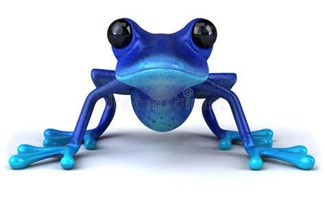 Blue Frog Stock Illustration Illustration Of Nature 20056081