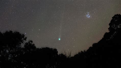 Comet Lovejoy And The Pleiades Comet Lovejoy And The Pleia Flickr
