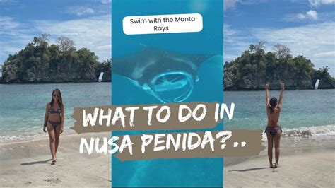 Nusa Penida Swim With Manta Rays Crystal Bay Beach Day Tour In Nusa Penida Travel With