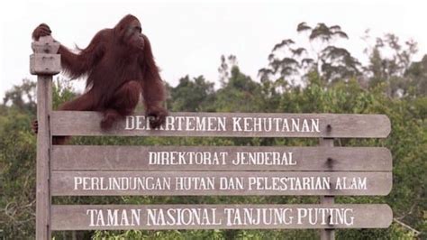 Taman Nasional Dan Cagar Alam Di Indonesia