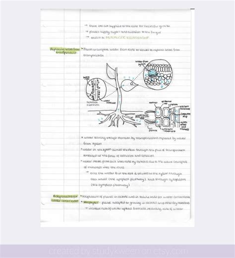Ib Biology Notes Sl And Hl Handwritten Revision Notes Etsy Singapore
