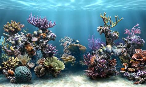 Free Download Crawler 3d Marine Aquarium Screensaver Is Also Compatible