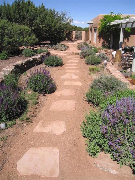 Xeriscape Front Yard Ideas Save Water And Create A Beautiful Landscape