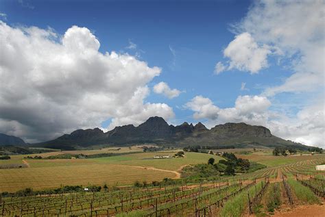 A View Of The Helderberg Mountains Photograph By Max Paddler