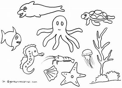 Gambar Mewarnai Binatang Laut Hewan Sketsa Untuk