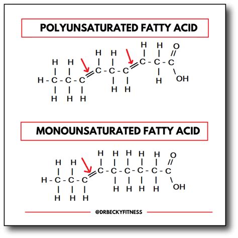Difference Between Monounsaturated And Polyunsaturated Fats 00c