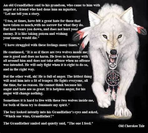 Two Wolves Ya Wolf Meaning Wolf Quotes Native American