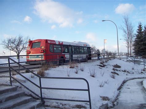 The Rear Of An Ottawa Oc Transpo New Flyer Invero Bus A Photo On