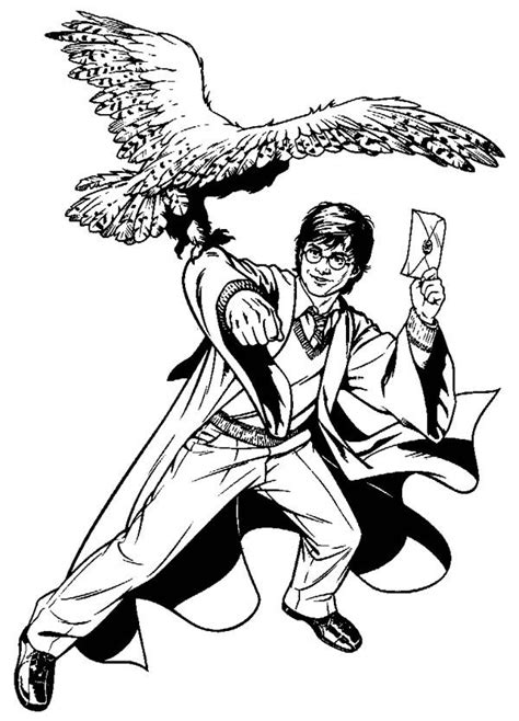 Great addition to my daughter's hp birthday activities. Free coloring pages of harry potter hedwig owl | Harry ...