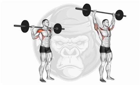 The 10 Best Long Head Tricep Exercises 2024 Jacked Gorilla