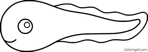 Tadpole Coloring Pages 20 Free Printables Coloringall