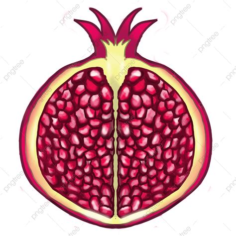 Flesh Png Image Half Pomegranate Showing The Flesh Clip Art