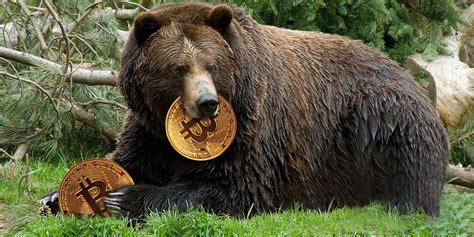 It influenced the legitimacy of bitcoin, it's popularity and broadened its usage. Bitcoin bears are stalking crypto prices — here's how low ...