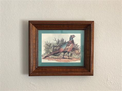 Pheasant Framed Wall Art Vintage Bird Picture Etsy Frames On Wall
