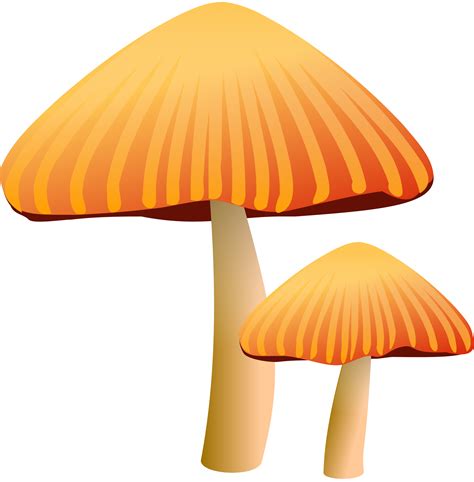 Free Mushroom Clipart, Download Free Mushroom Clipart png images, Free png image