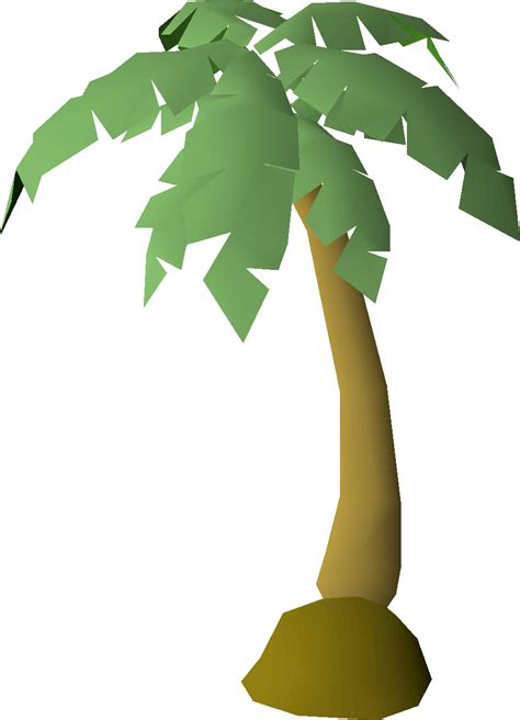 Filepalm Tree Stage 6png Osrs Wiki