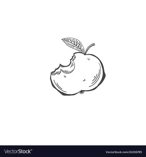 Sketch Drawing Bitten Apple Cartoon Draw Vector Image