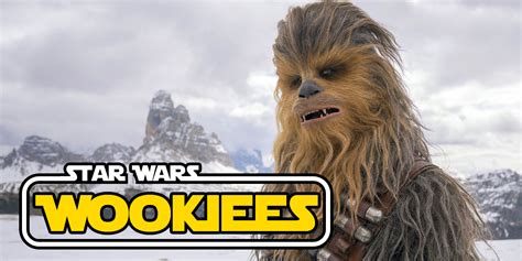 Star Wars Everything You Should Know About Wookiees Bell Of Lost Souls