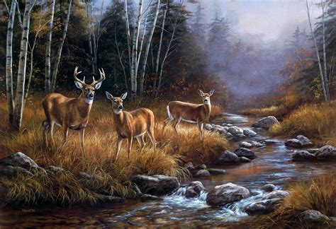 Widescreen Wallpaper Deer Src Cool Whitetail Deer 2295x1570