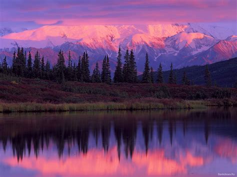 Alaska Nelle Terre Estreme — Giorni Rubati Denali National Park