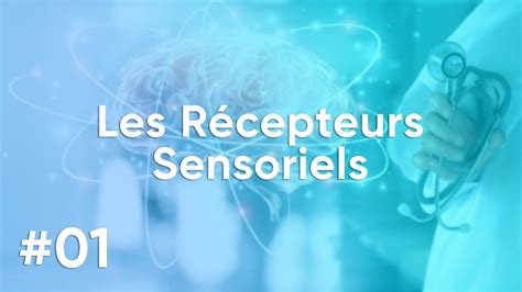 Les R Cepteurs Sensoriels Physiologie De L Appareil Neuro Sensoriel