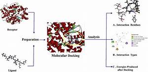 General Procedures For Molecular Docking Download Scientific Diagram