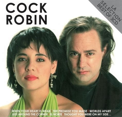 Music Rewind Cock Robin La Selection Best Of 3 Cds 2013