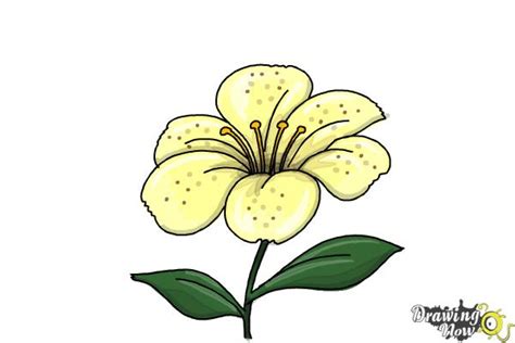 We did not find results for: How to Draw a Flower Step by Step - DrawingNow