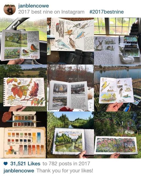Pin On Jan Blencowes Nature Journals