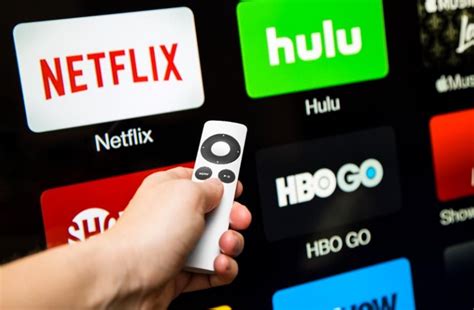 Netflix And Other Streaming Services Lost 9 Billion Due To Password