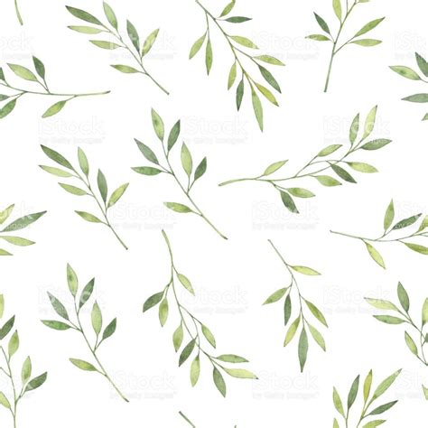 Hand Drawn Watercolor Illustration Botanical Background With Green