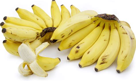 Apple Bananas Information Recipes And Facts