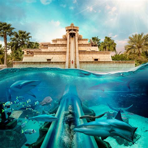 Atlantis The Palm Dubai Fairy Tale Palace Of The Lost City With The