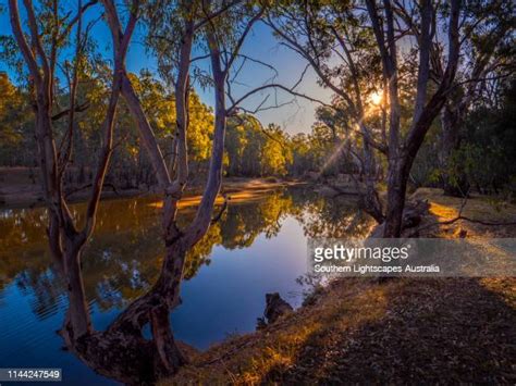 Murray River National Park Photos And Premium High Res Pictures Getty
