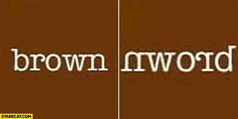 Word Brown Spelt Backwards In A Mirror Looks Like Nword