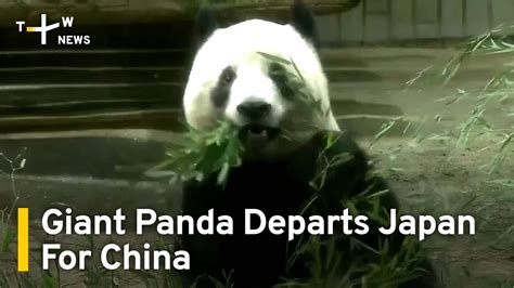 Giant Panda Departs Japan For China Taiwanplus News Youtube